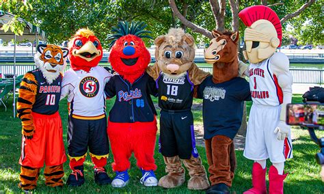 The Role of Mascots in Sports and Their Impact on the Community